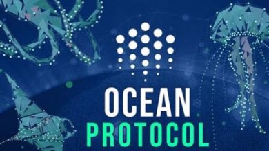 Ocean Protocol (OCEAN) Nedir? Veri Pazarı ve Blockchain